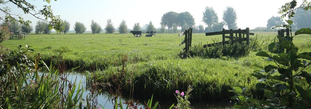 Bed & Breakfast Yerseke Exteriér fotografie